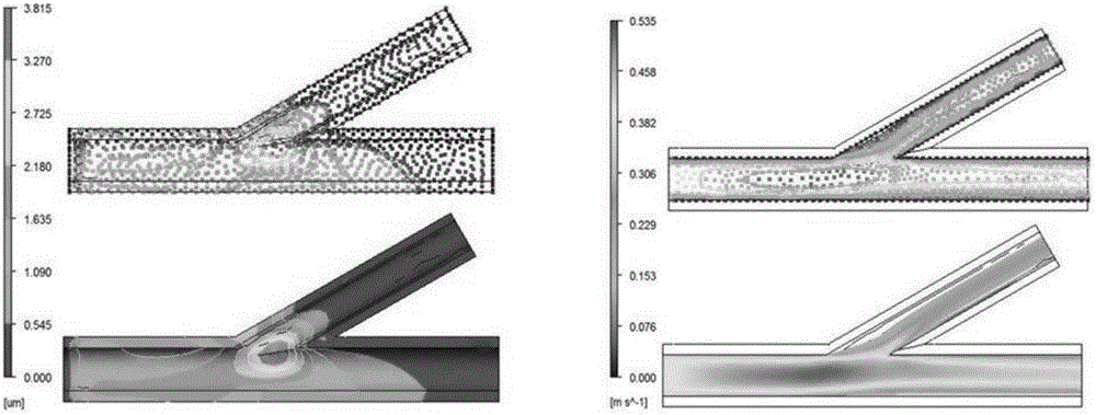 Bionic perfusion method for branch blood vessel model for liver perfusion