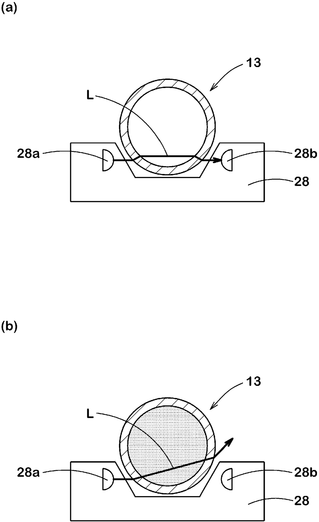 Electrolyzed water generation device