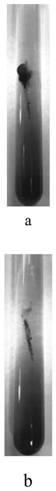 Method for screening bacterial strains with high output of low-temperature MDH (malate dehydrogenase)