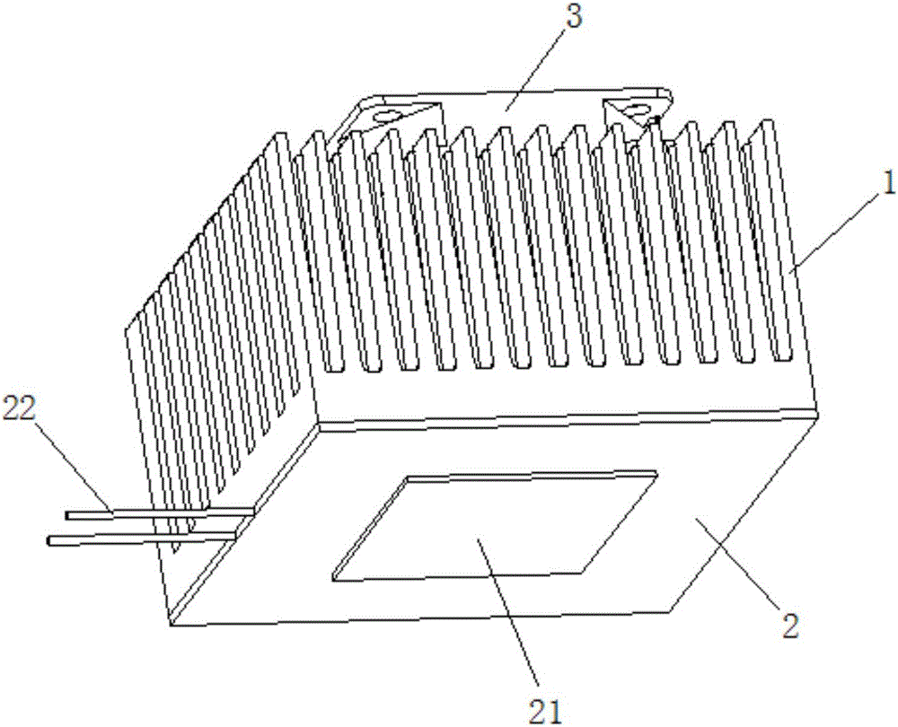 Radiator with chip heating function