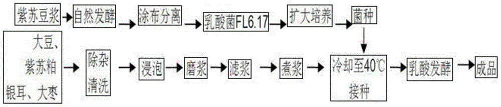 Preparation method of lactobacillus-fermented bean juice with perilla nankinensis