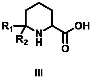 Synthesis method of 6,6-dialkyl piperidine-2-carboxylic acid compound