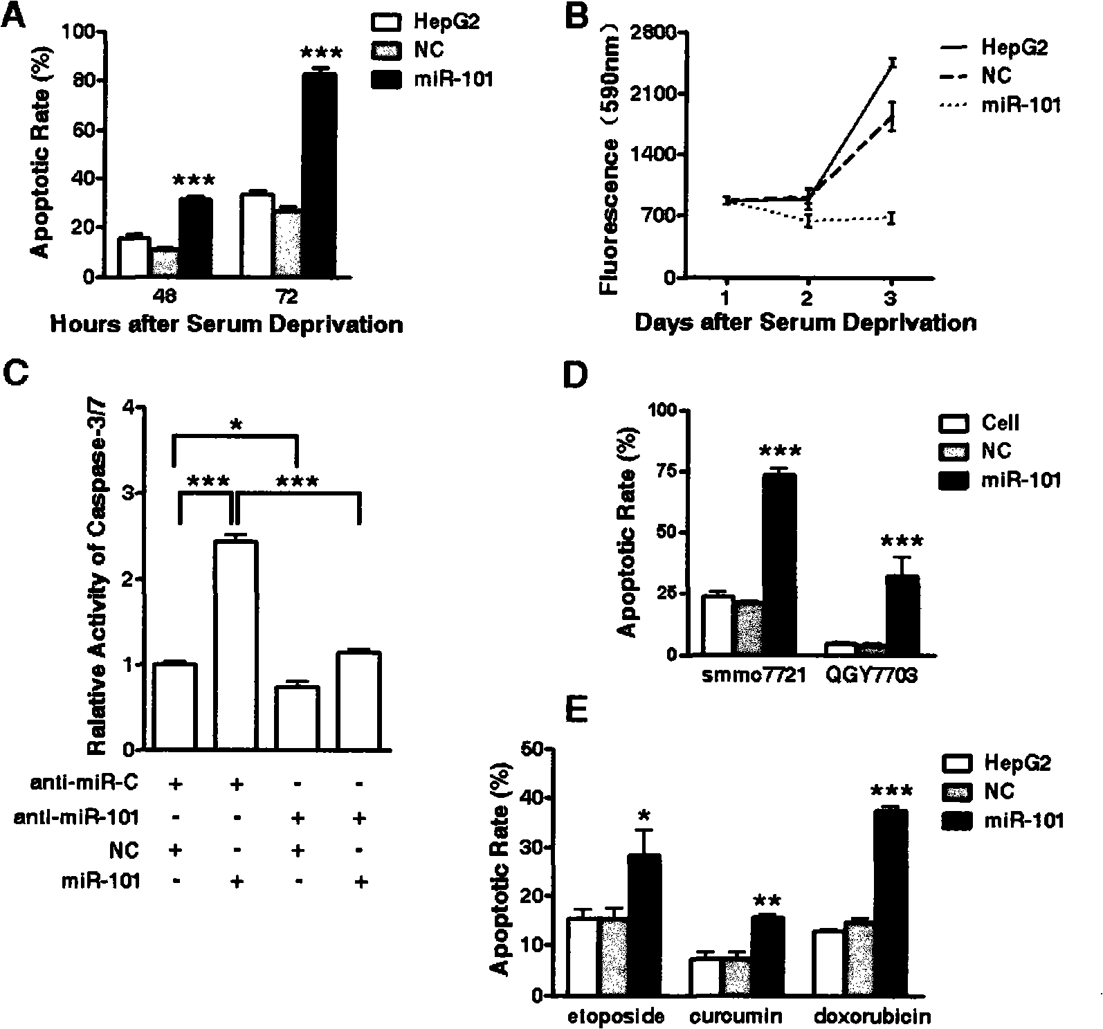 Small molecule noncoding RNA gene hsa-mir-101 and antineoplastic use thereof