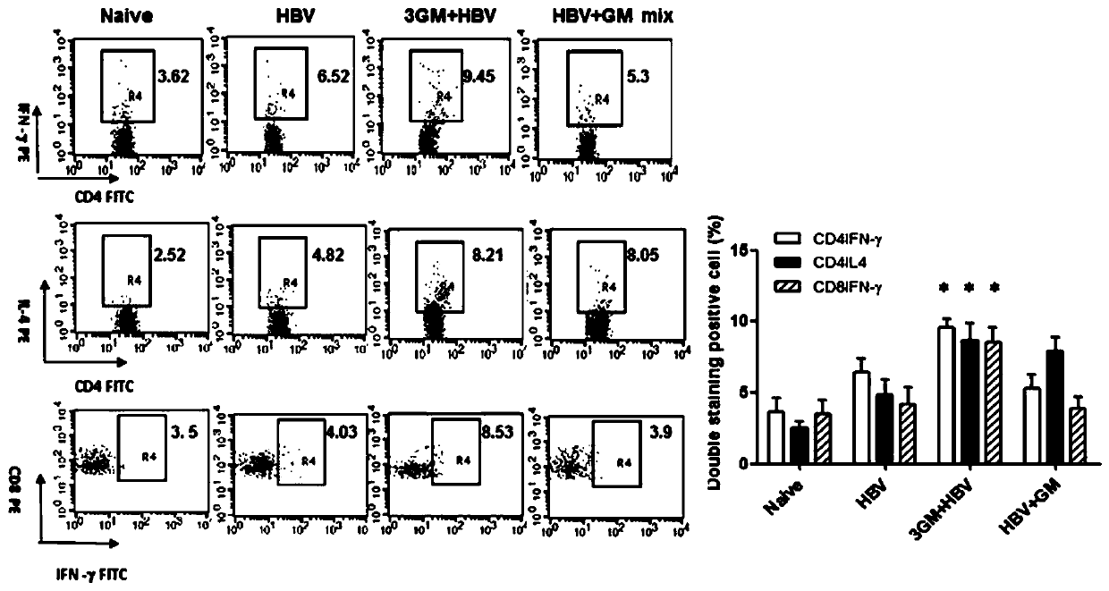 Application of virus immunotherapy drug compound in preparation of drugs for treating HBV infection