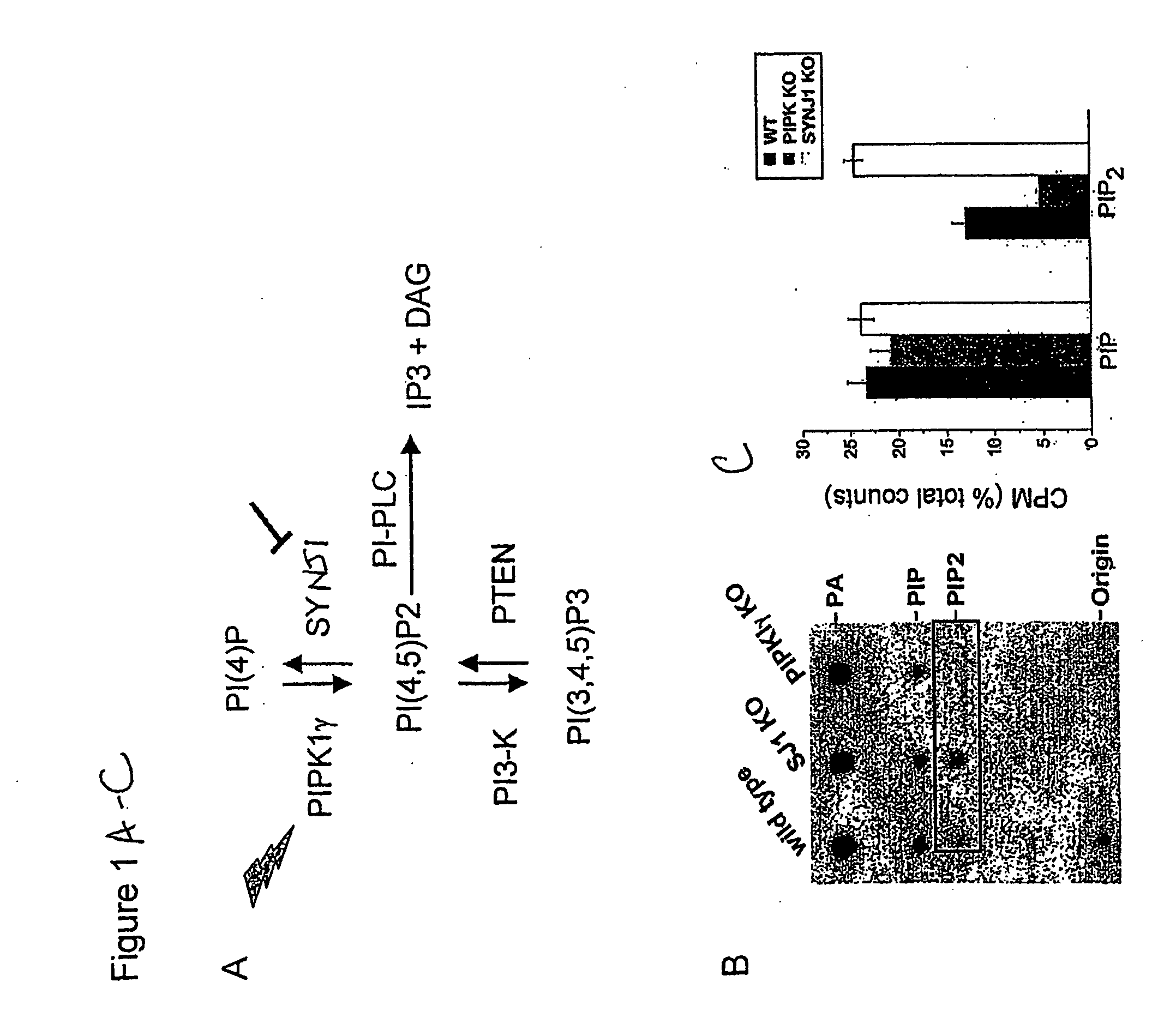 Phosphoinositide modulation for the treatment of alzheimer's disease