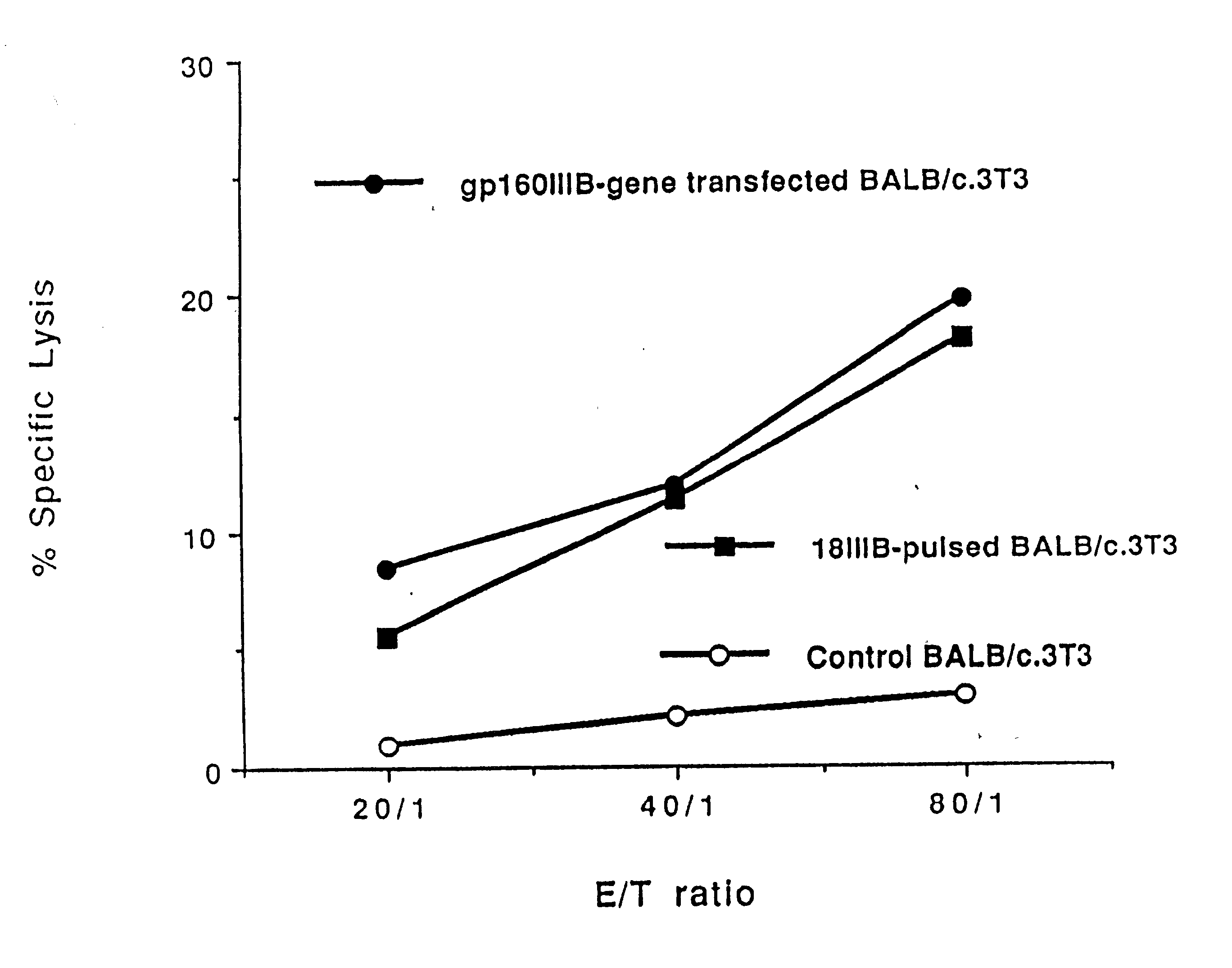 Methods and compositions using peptide-pulsed dendritic cells for stimulating cytotoxic T lymphocytes specific for tumor cells or virus-infected cells