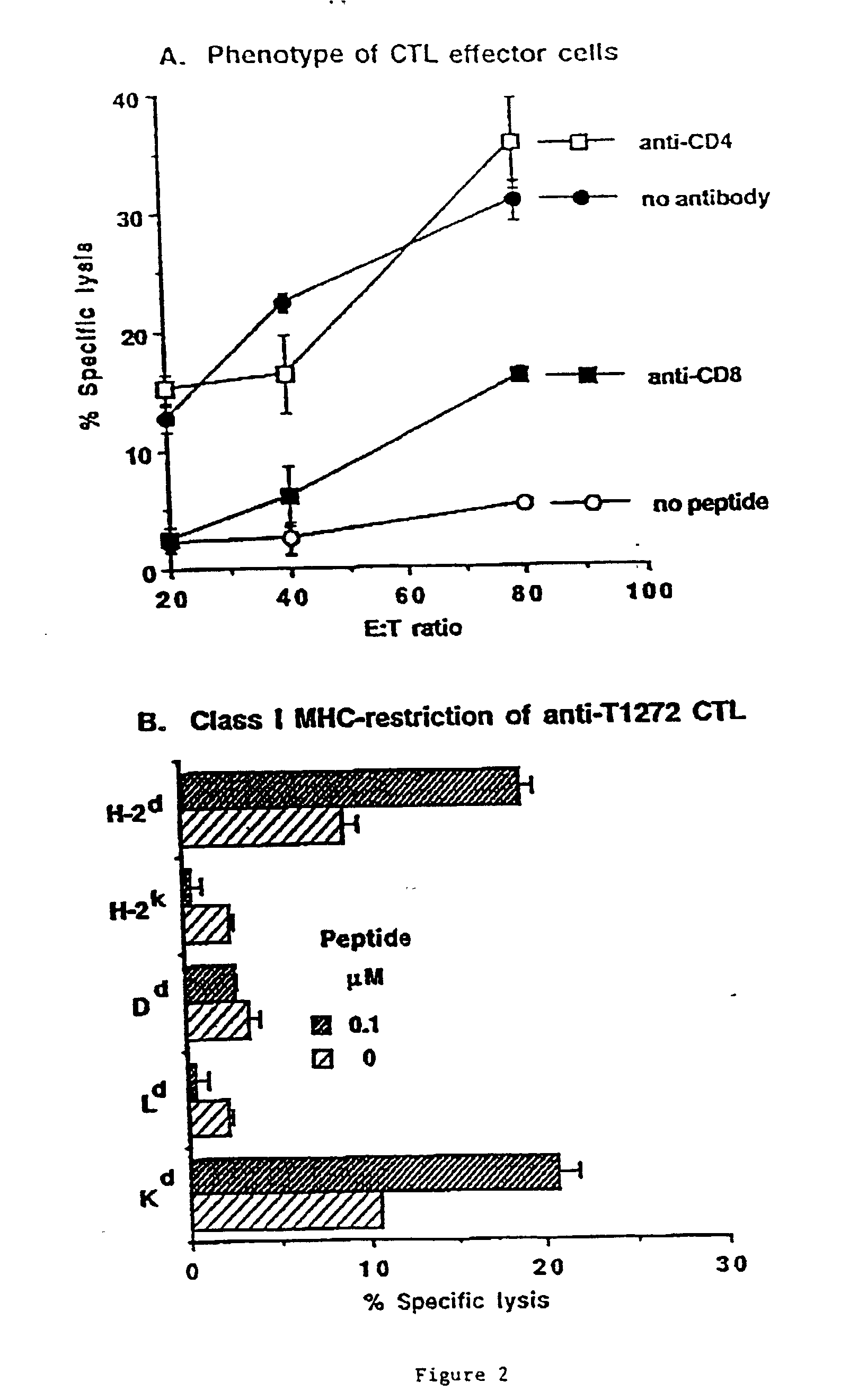 Methods and compositions using peptide-pulsed dendritic cells for stimulating cytotoxic T lymphocytes specific for tumor cells or virus-infected cells