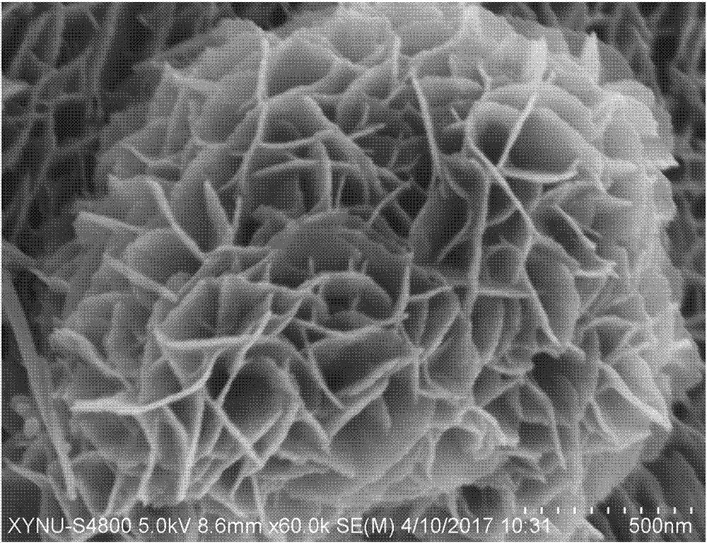 Preparation method of supercapacitor electrode material multilayer petal-shaped nickel molybdate