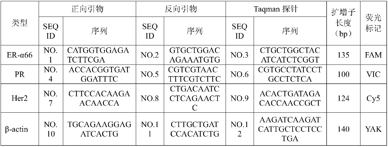 Breast cancer molecular typing real-time fluorescent multiple PCR (Polymerase Chain Reaction) primer and kit and application thereof