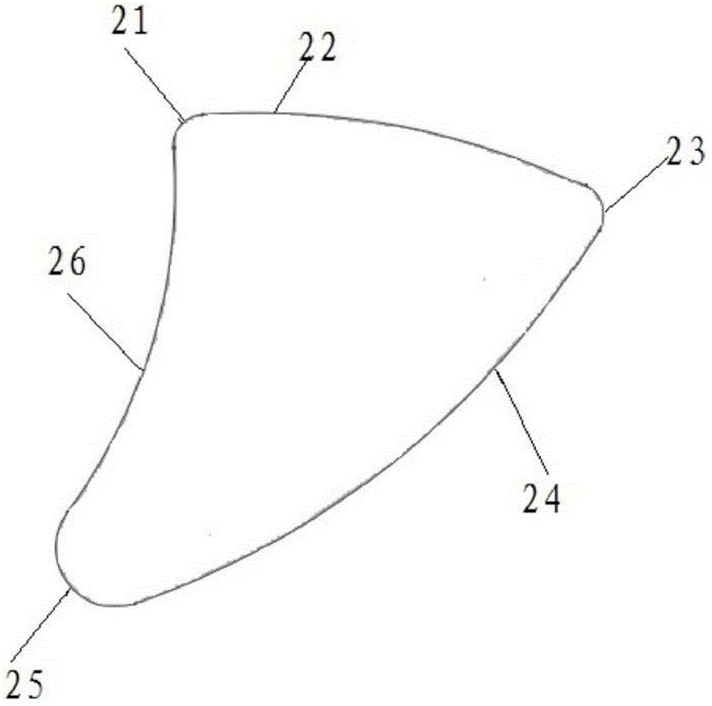 30 degree parallel lens used for ion implanter