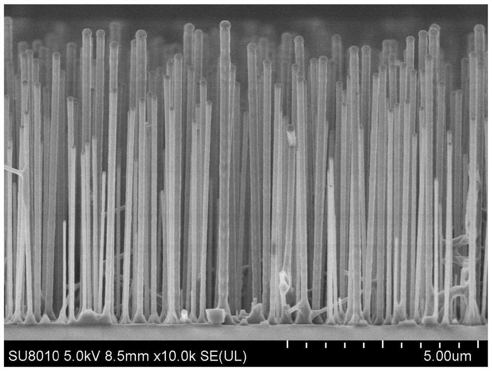 Zinc gallate nano material as well as preparation method and application thereof