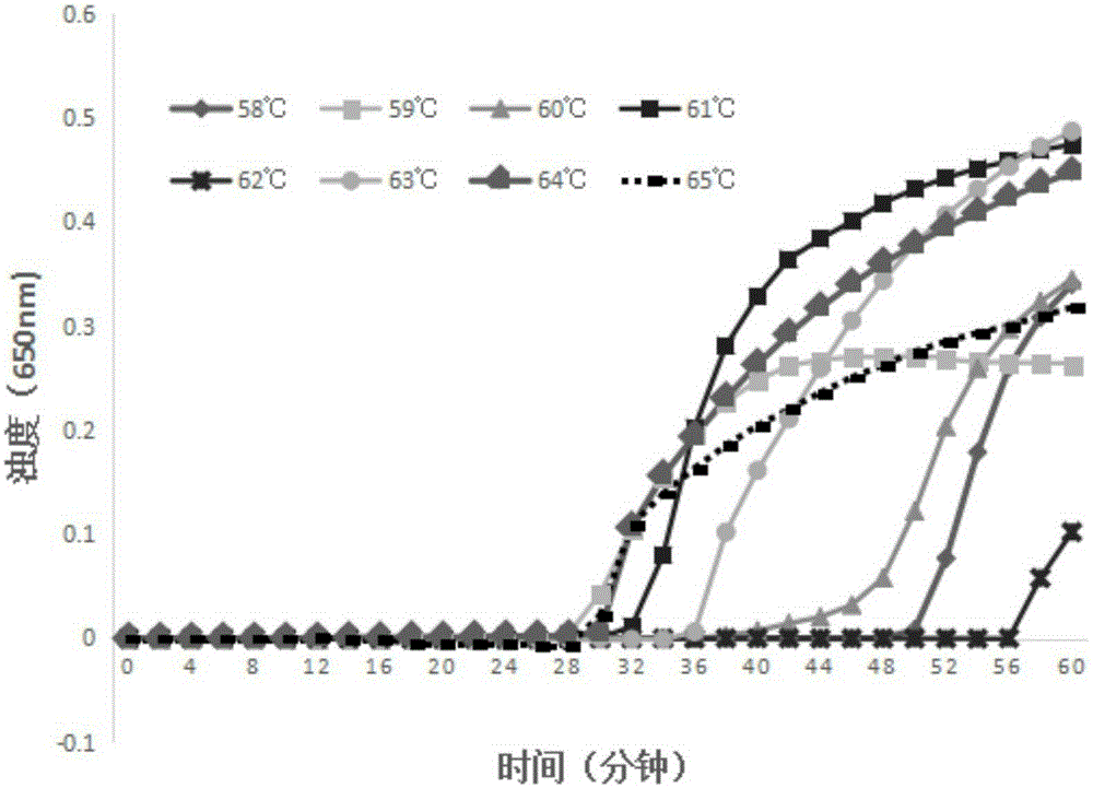 LAMP kit for VanB gene detection and primer special for same