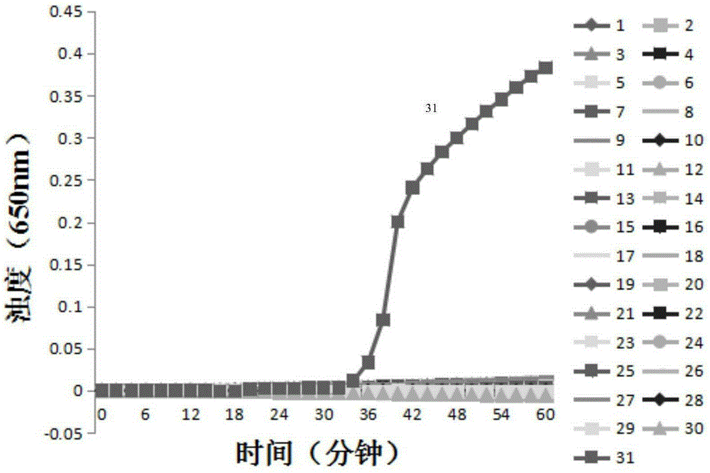 LAMP kit for VanB gene detection and primer special for same