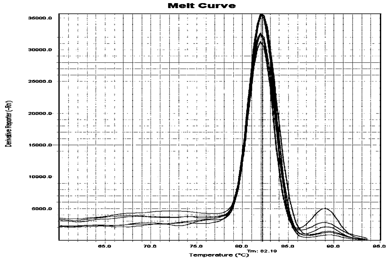 Method for detecting expression of odorant-binding protein gene OBP6 of Italian bees by using fluorescent RT-PCR technology