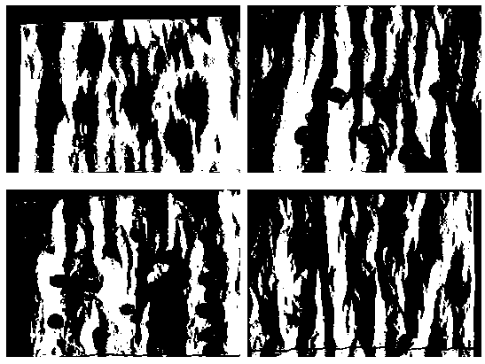 Fluorine-free anti-splashing spray for fabrics and preparation method of fluorine-free anti-splashing spray