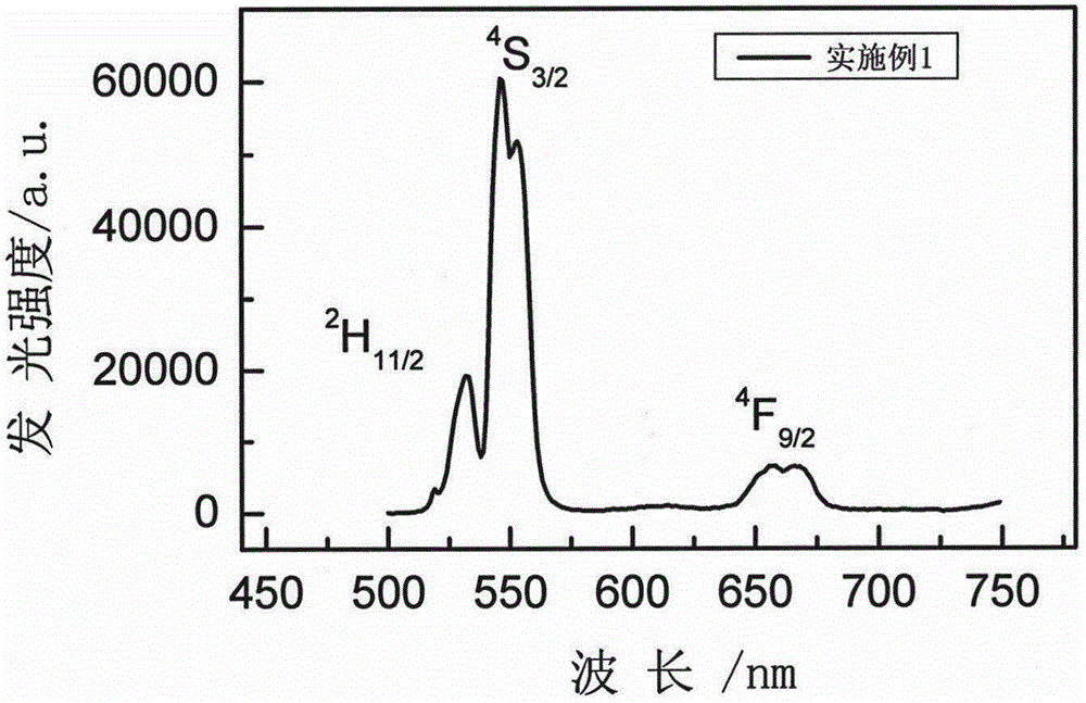 Rare-earth ion doped Rb2LaBr5 microcrystalline glass and preparation method thereof