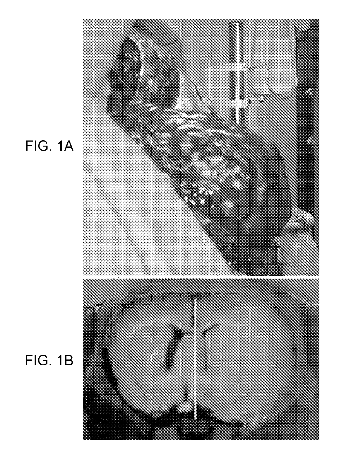 Methods for antagonists of a non-selective cation channel in neural cells