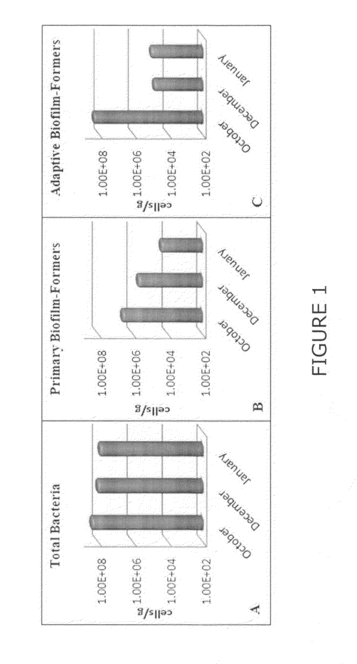 Detection and quantification of nucleic acid to assess microbial biomass in paper defects and machine felts