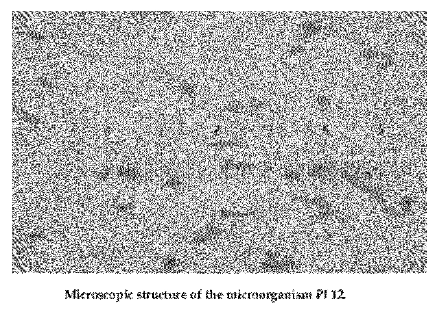 Cold active enzyme and method thereof