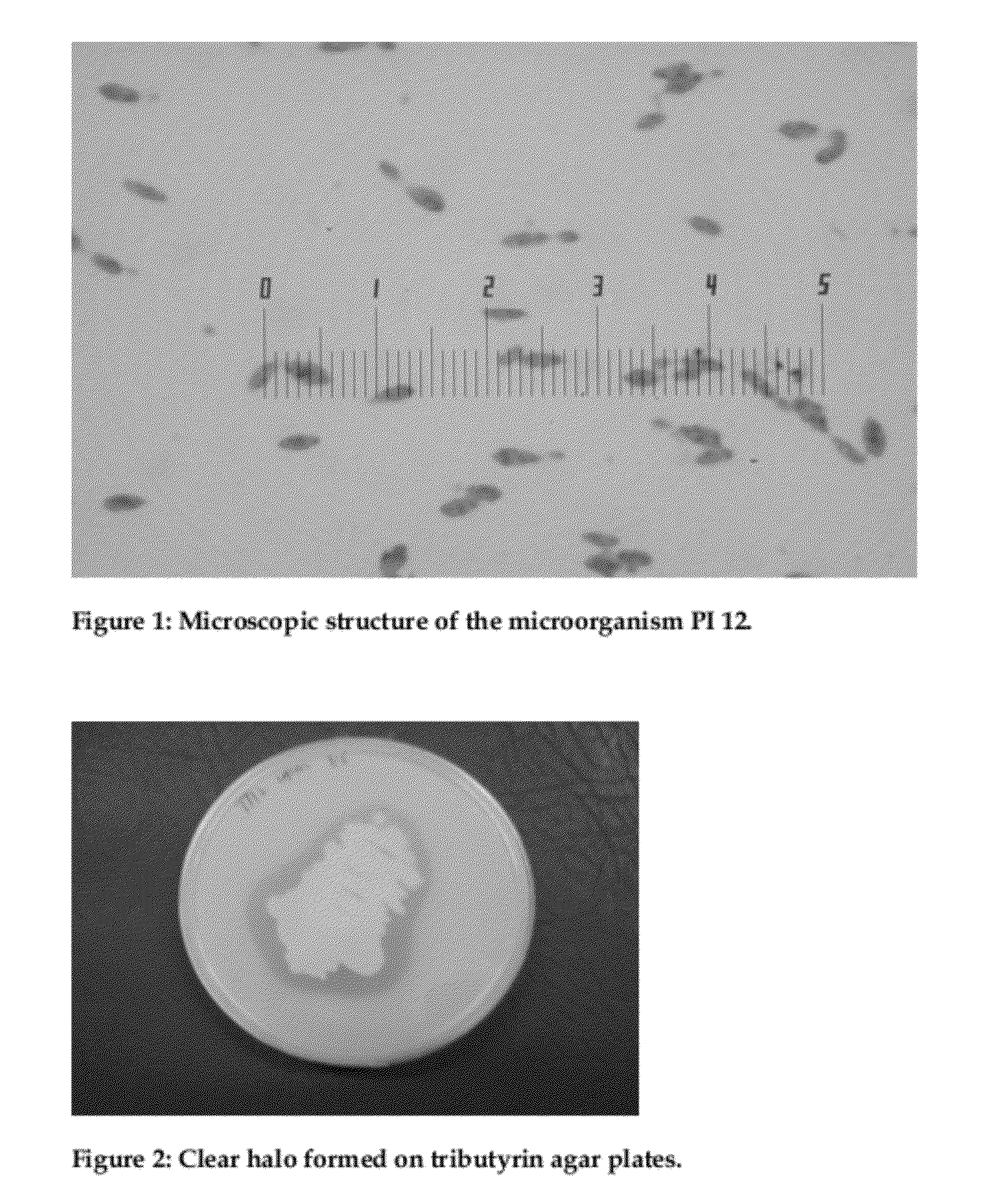 Cold active enzyme and method thereof