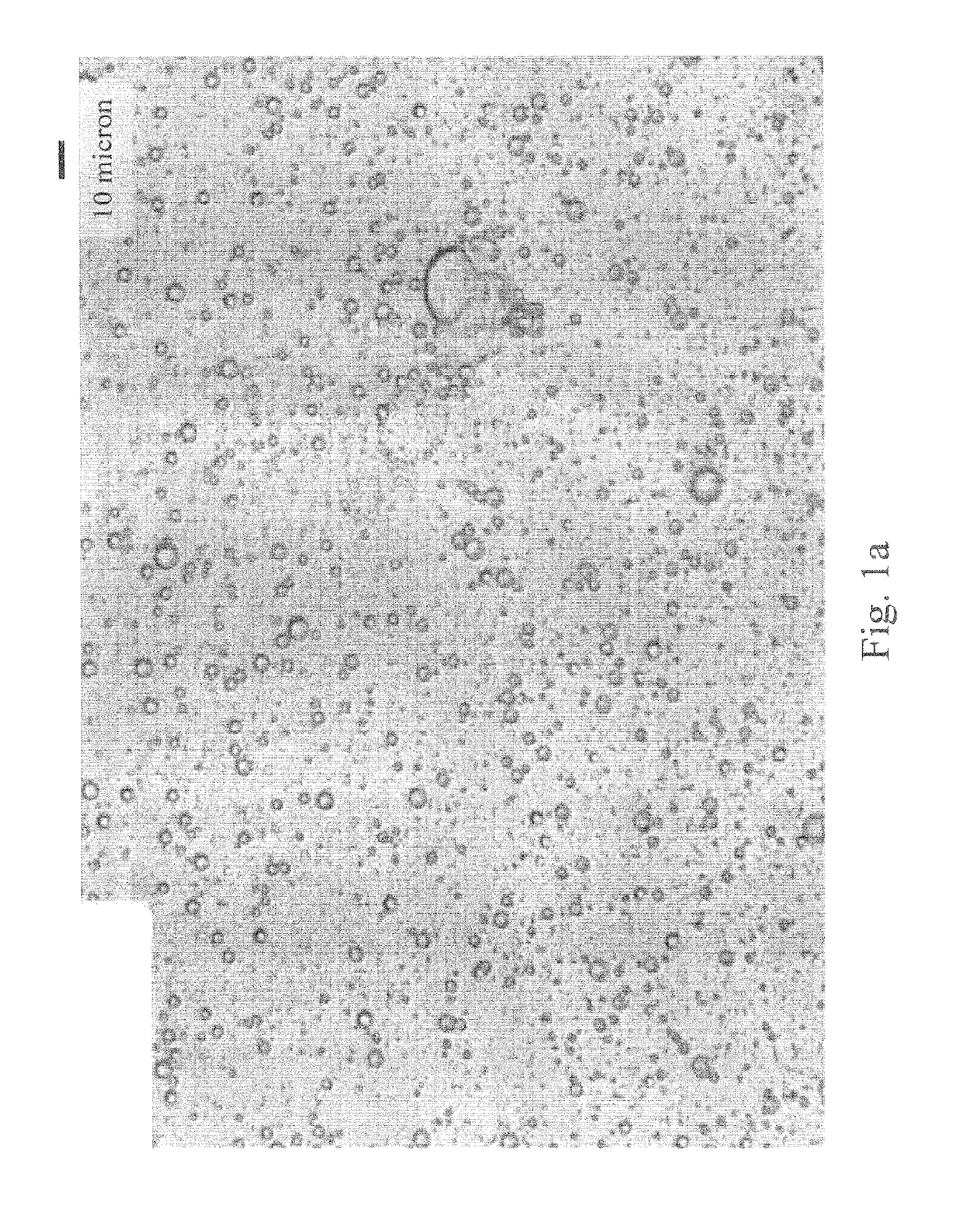 Starch esters and method of preparation