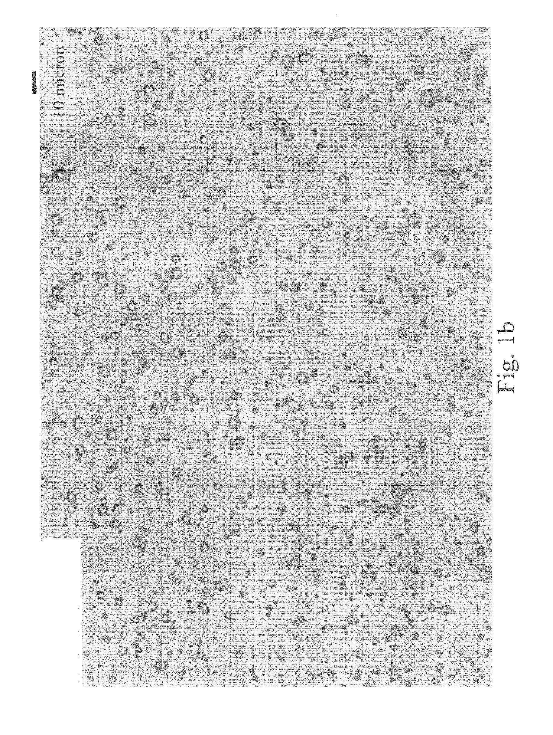 Starch esters and method of preparation