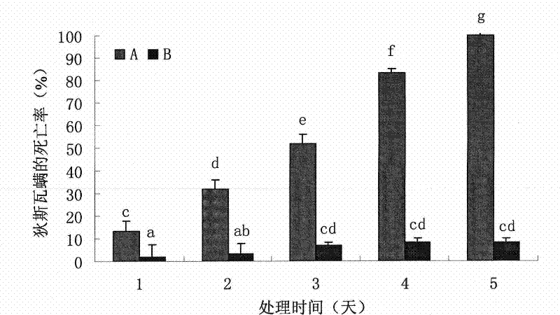 Chitinase for deactivating varroa destructor, serratia marcescens and application thereof