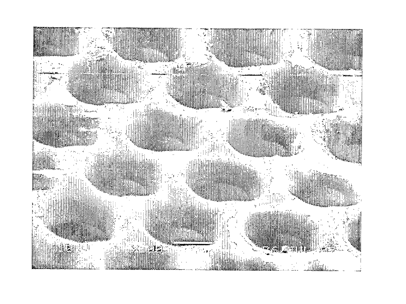 Scaffold for composite biomimetic membrane