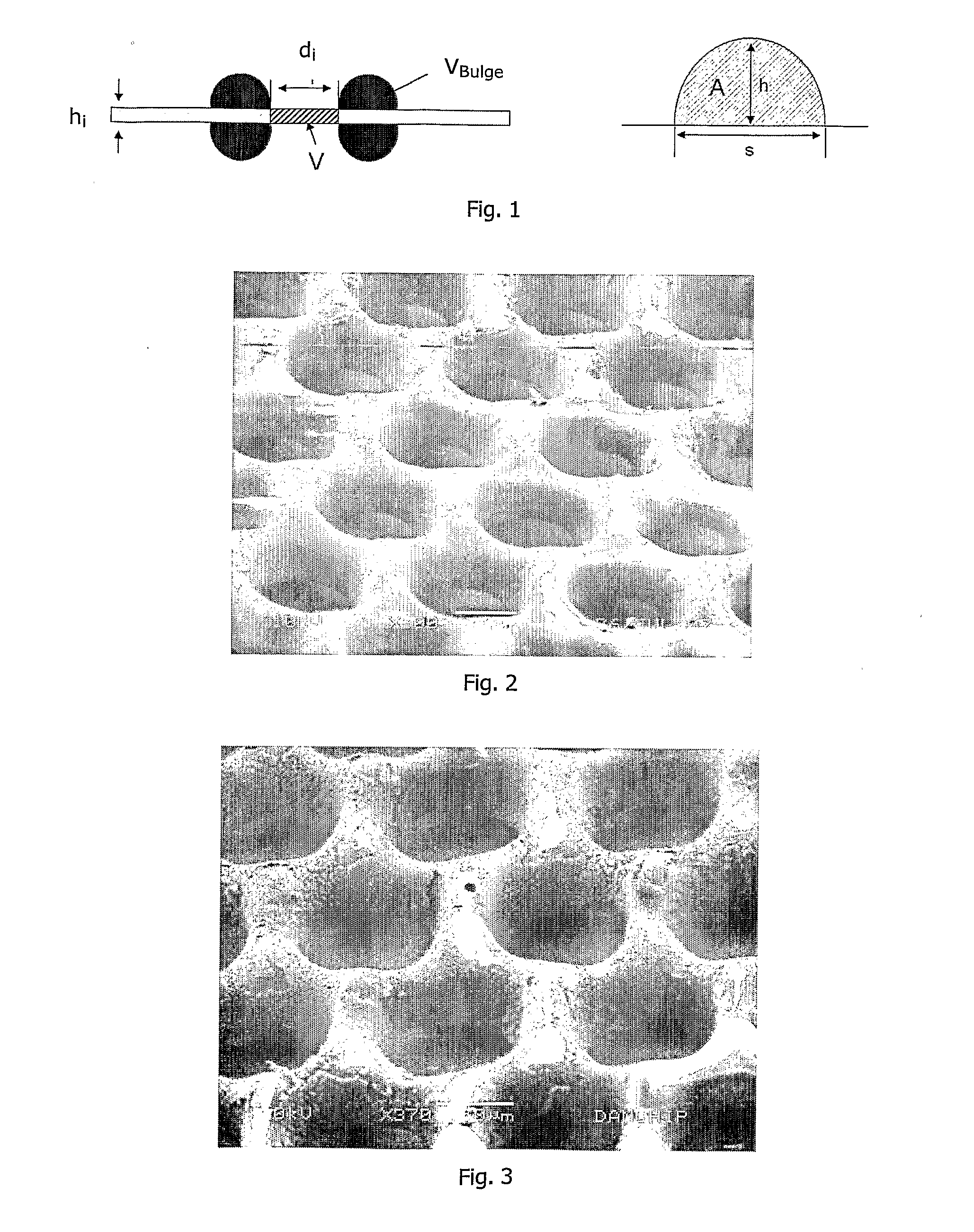 Scaffold for composite biomimetic membrane