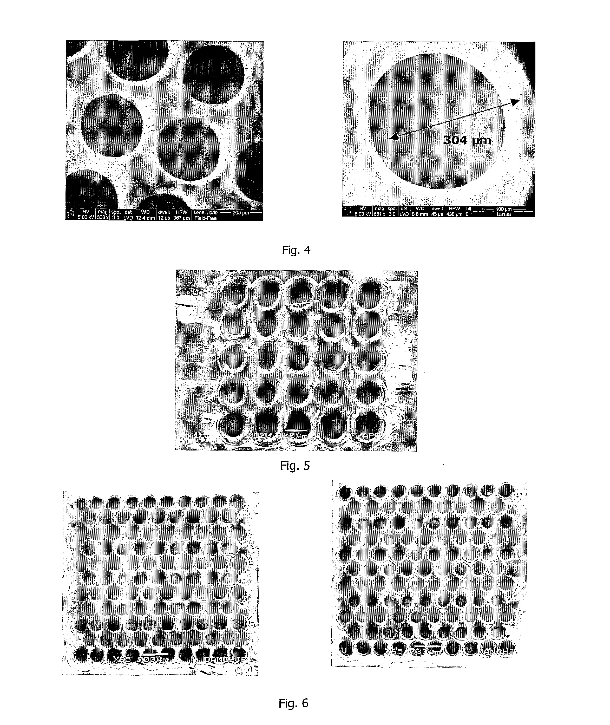 Scaffold for composite biomimetic membrane