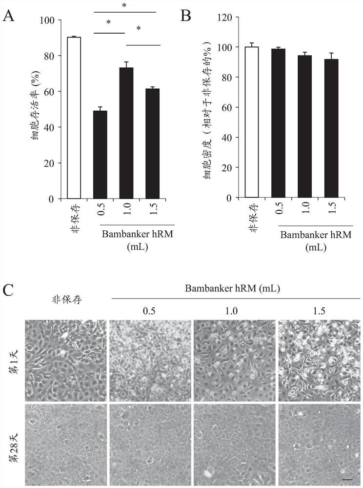 Composition and method for preserving or culturing ocular cells