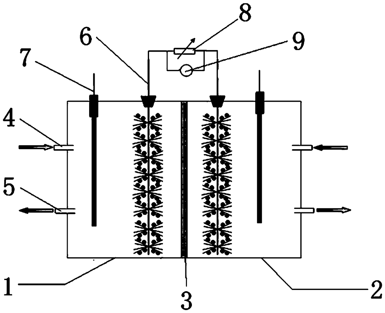 Biological cathode electrochemical system for processing low C/N (carbon/nitrogen) ratio waste water, and method for processing waste water thereof