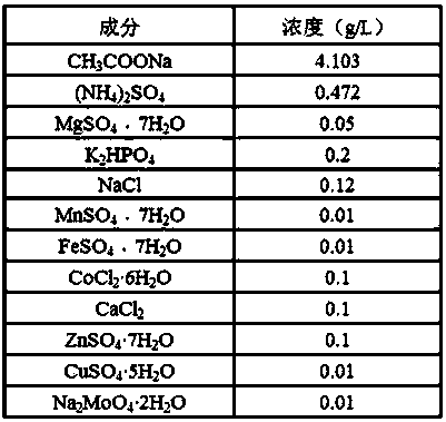 Biological cathode electrochemical system for processing low C/N (carbon/nitrogen) ratio waste water, and method for processing waste water thereof