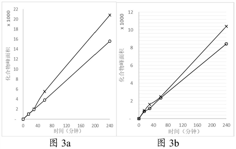 Compound containing amide functional group of stable heavy isotope and application thereof