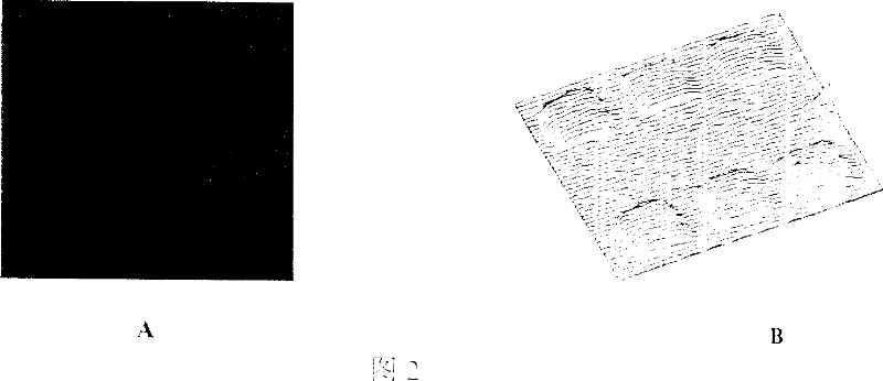 Bilayer lipid membrane surface modified protein chip and its manufacturing method and use