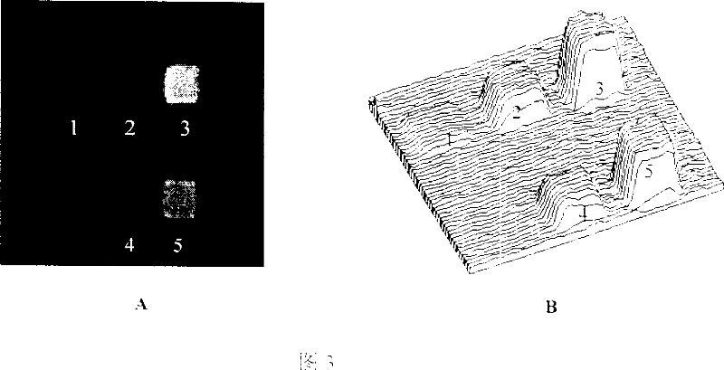 Bilayer lipid membrane surface modified protein chip and its manufacturing method and use