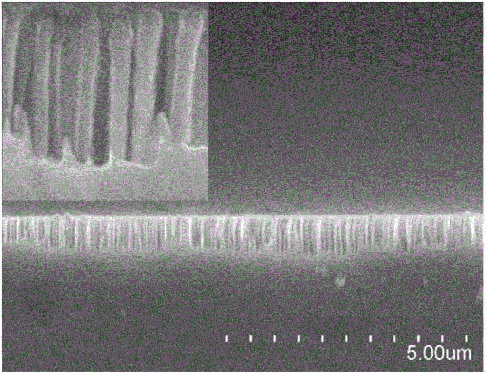 A method for preparing silicon nanowire radial heterojunction solar cells