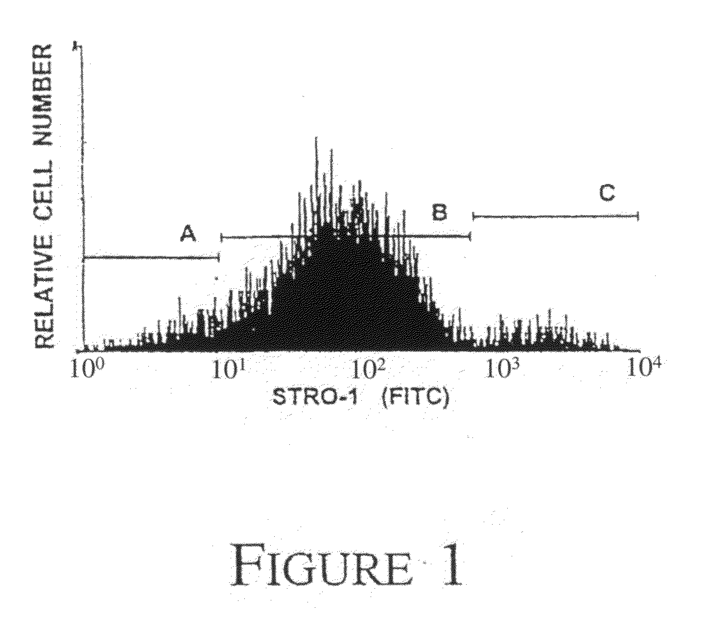 Mesenchymal precursor cell