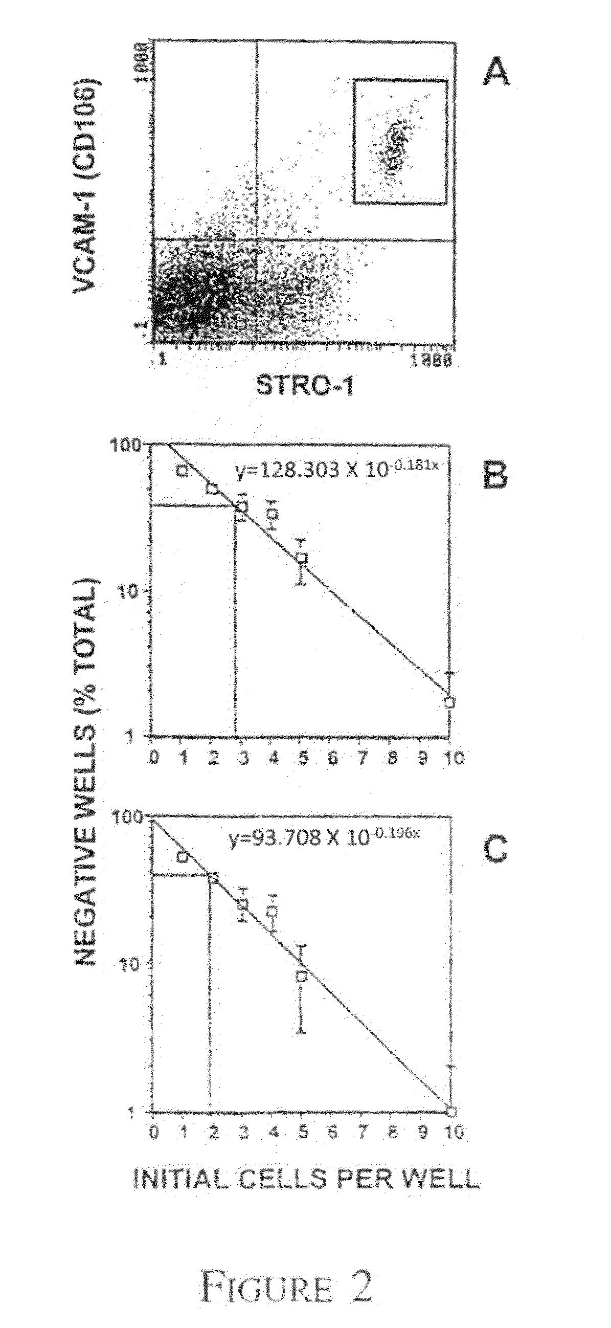 Mesenchymal precursor cell