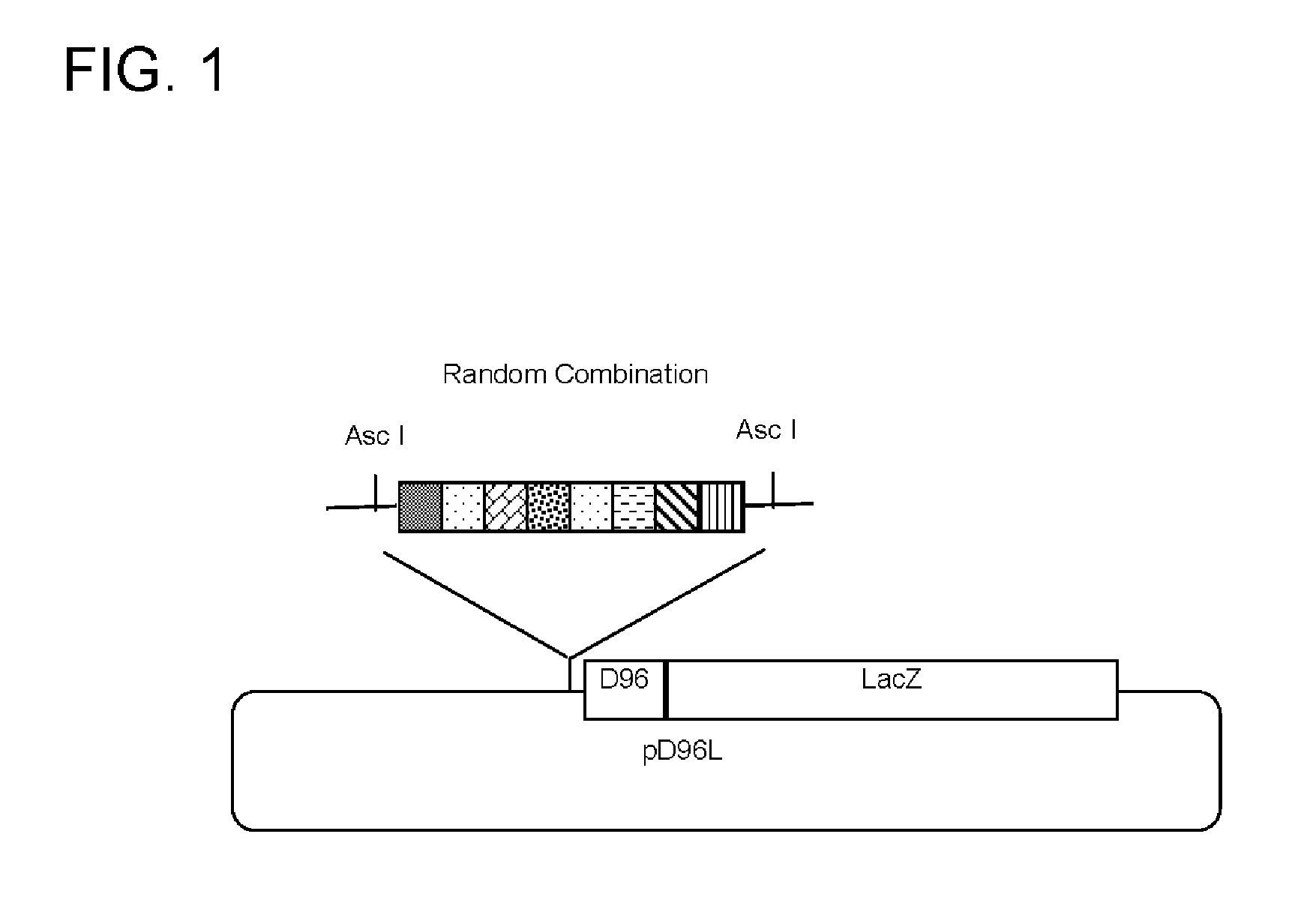 System for producing synthetic promoters