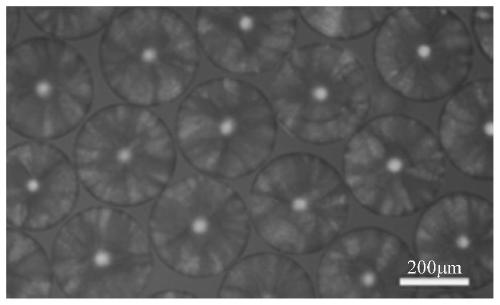 A kind of mixed photonic crystal and its preparation method and application