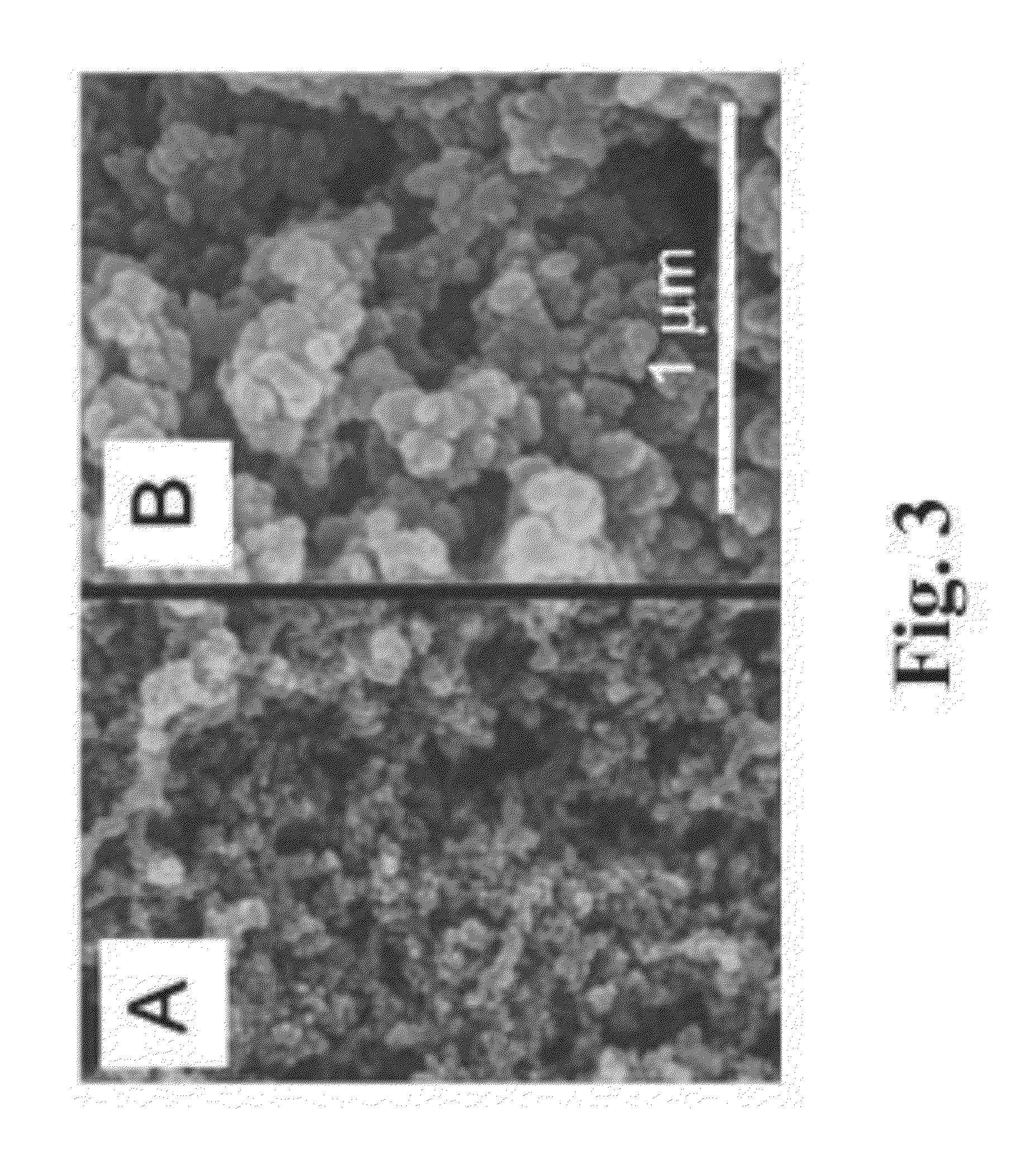 Multifunctional porous aramids (aerogels), fabrication thereof, and catalytic compositions derived therefrom