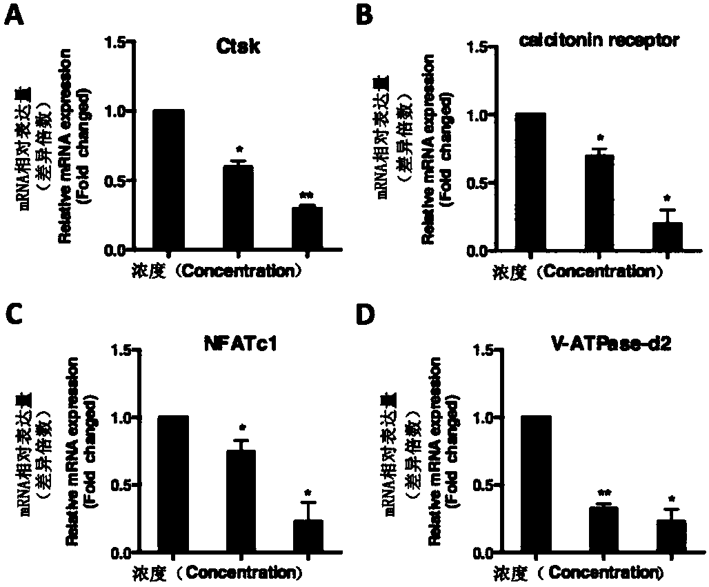 Application of chrysosplenetin to osteoporosis treatment