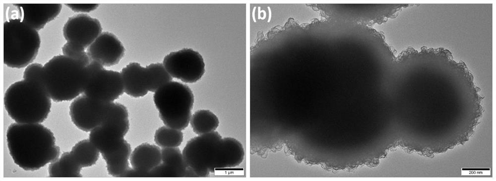 Preparation method and application of phosphorized WS2 nanosphere catalyst