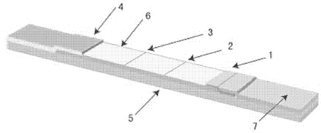 Rapid detection method based on gold magnetic particle-labeled immunochromatography