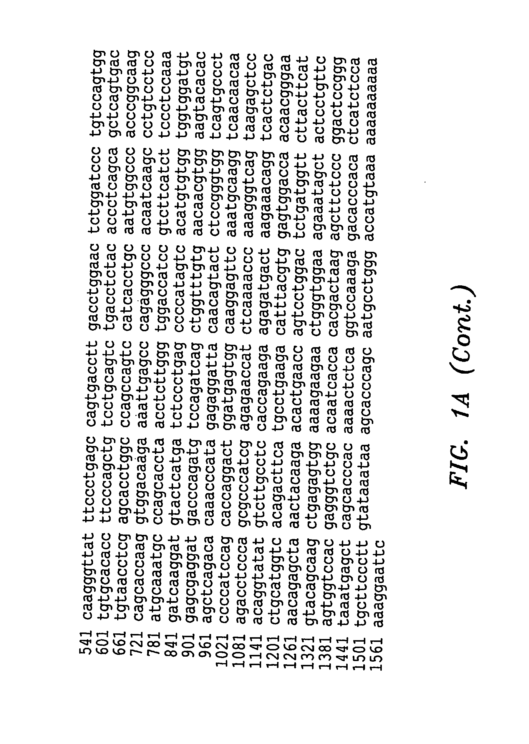 De-Immunized Anti-Cd3 Antibody