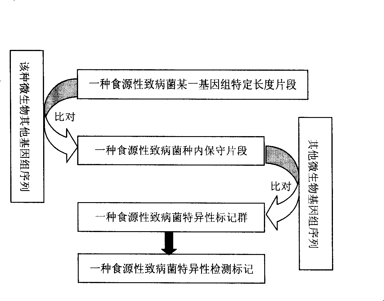 Food-borne pathogen numerator detection mark establishing method