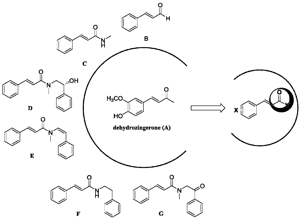 Dehydrozingerone derivative and preparation method and application thereof