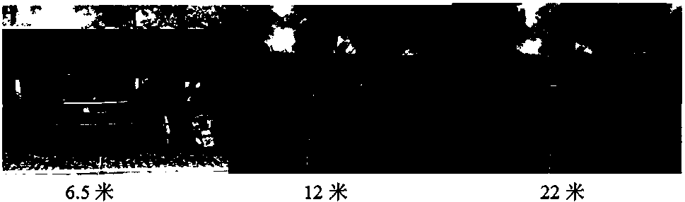 Method for rapidly measuring distance between multiple moving objects based on machine vision