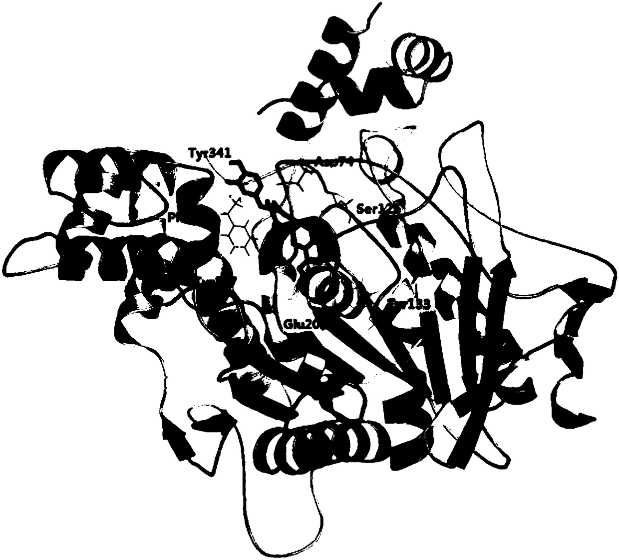 A kind of catechin derivative and its use in the preparation of the drug for inhibiting the activity of acetylcholinesterase